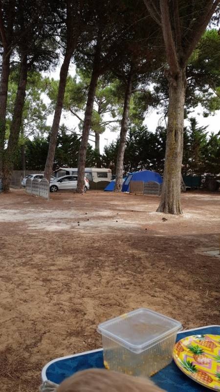 Camping Barjottes — Camping in Le Bois-Plage-en-Ré