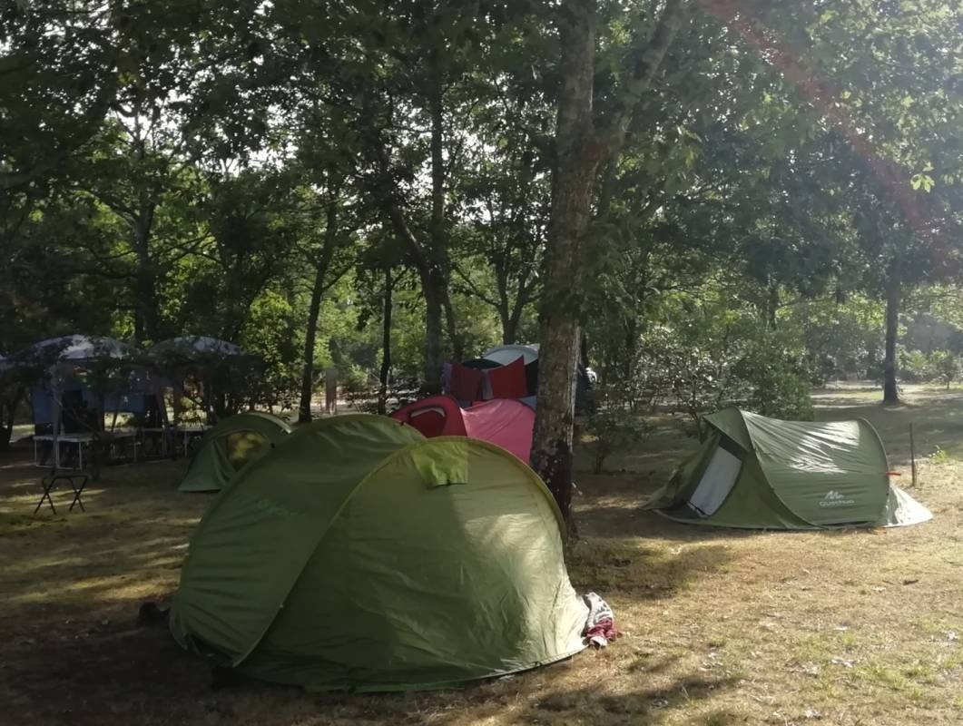 Camping LEs Arbousiers — Kemp in Carcans 