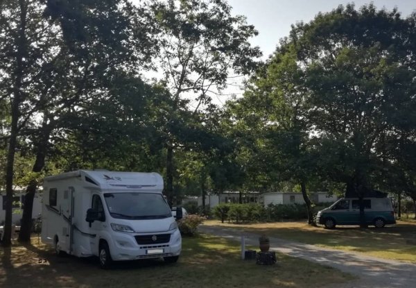 Camping LEs Arbousiers