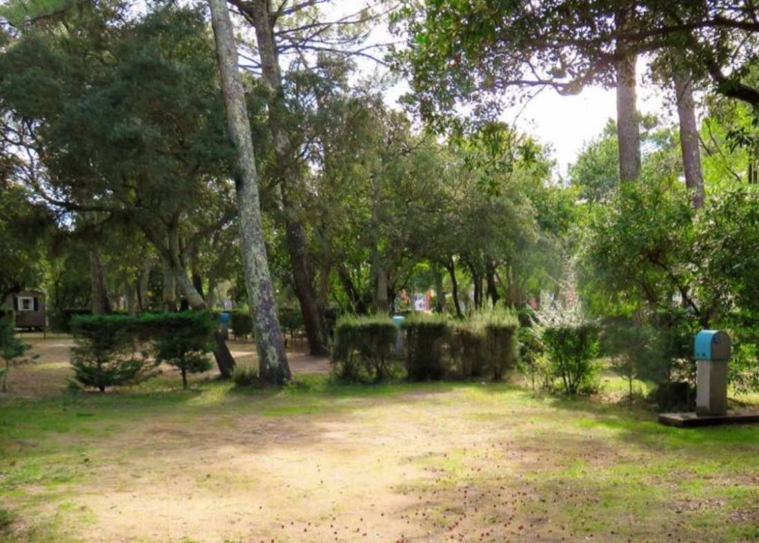 Camping Sylvamar ***** — Kemp in Labenne