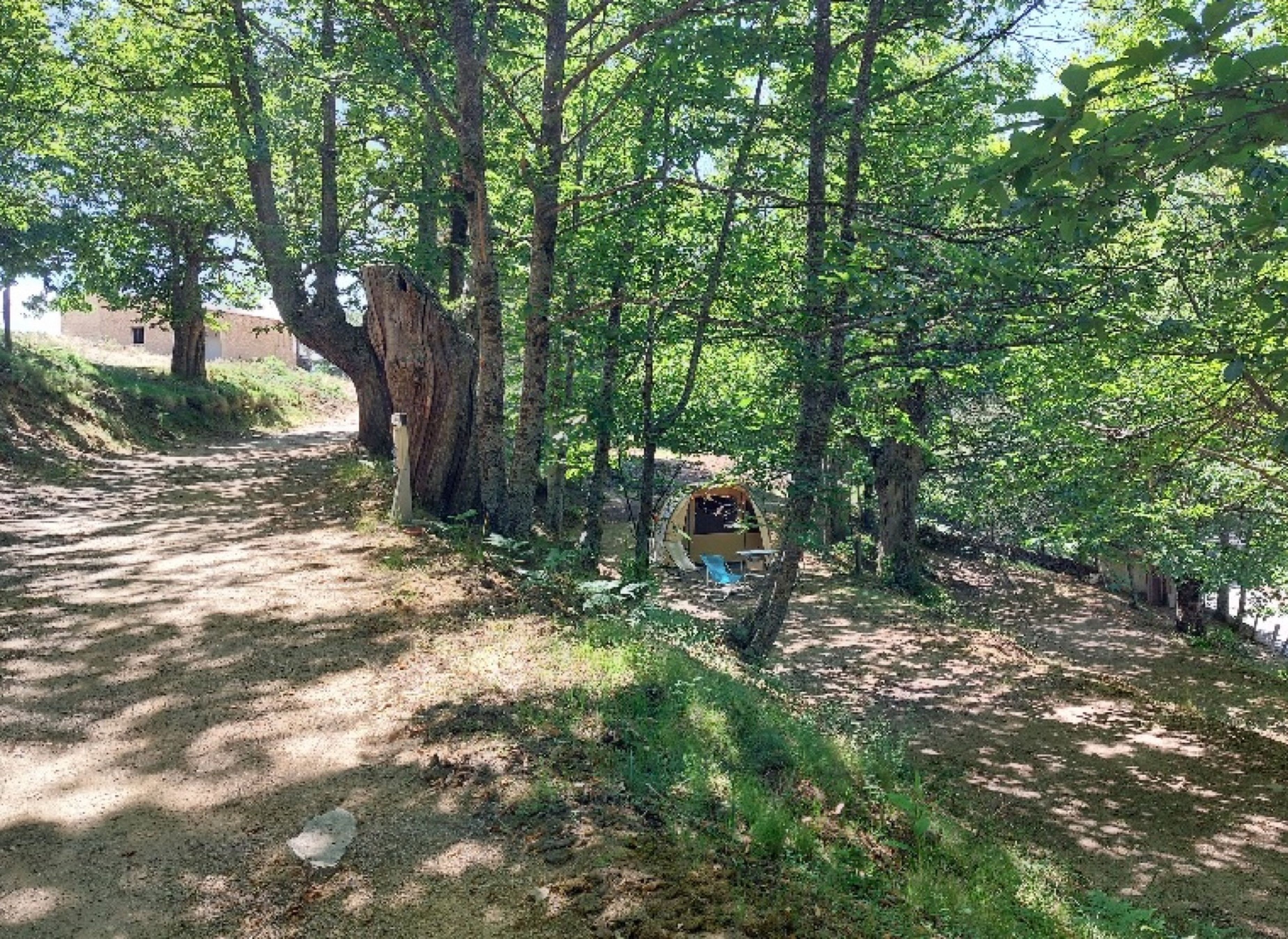 Camping l'Acciola — Camping Site in Évisa / Corse