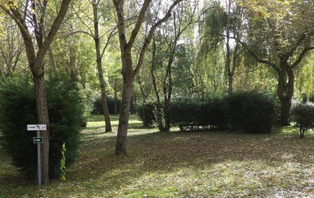 Camping La Plage de Verduzan *** — Sítio de acampamento in Castéra-Verduzan