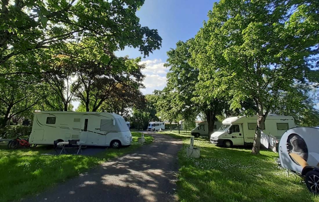 Camping Le Bosquet ** — Cámping in Jard-sur-Mer