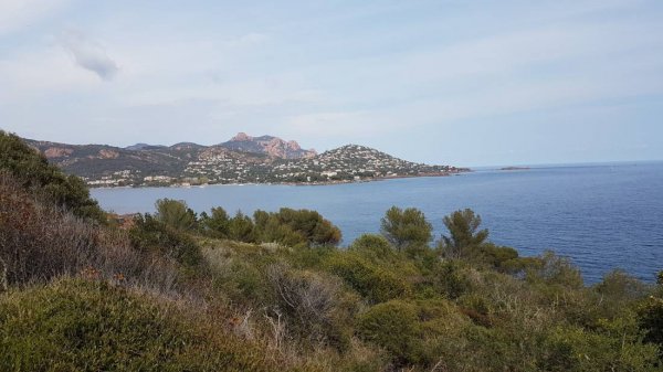 Royal Camping — Photo 2