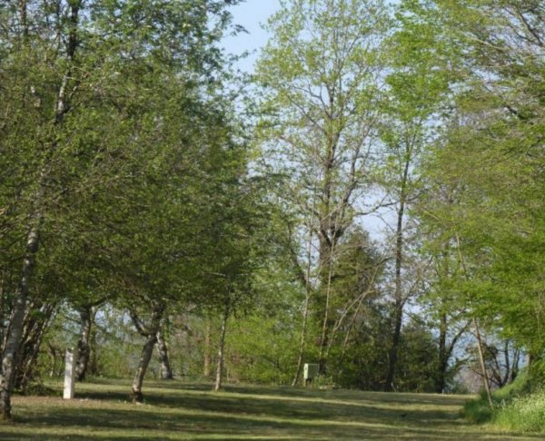 Camping le Manoir de Bezolle **** — Photo 4