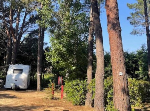 Camping Caravaning U Moru *** — Photo 4