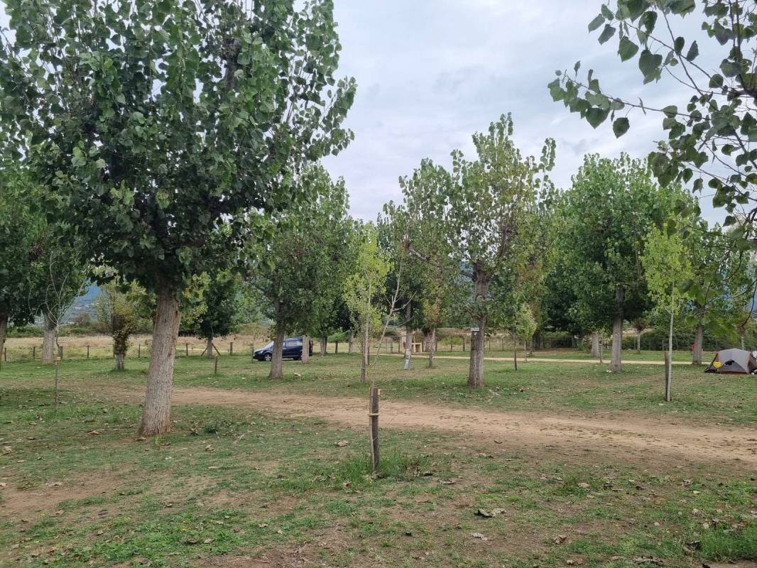 Camping U Sommalu *** — Sítio de acampamento in Casaglione 