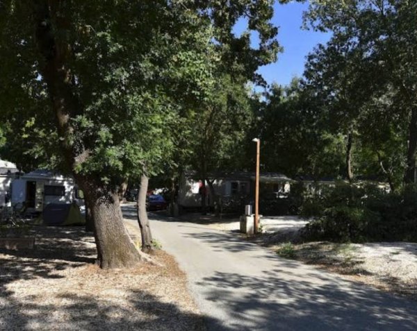 Camping Vert Gapeau **** — Photo 2