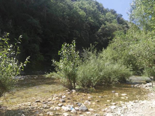 Naturist Camping le chateau de Fereyrolles — Photo 2