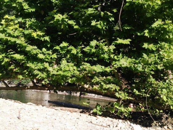 Naturist Camping le chateau de Fereyrolles — Photo 4