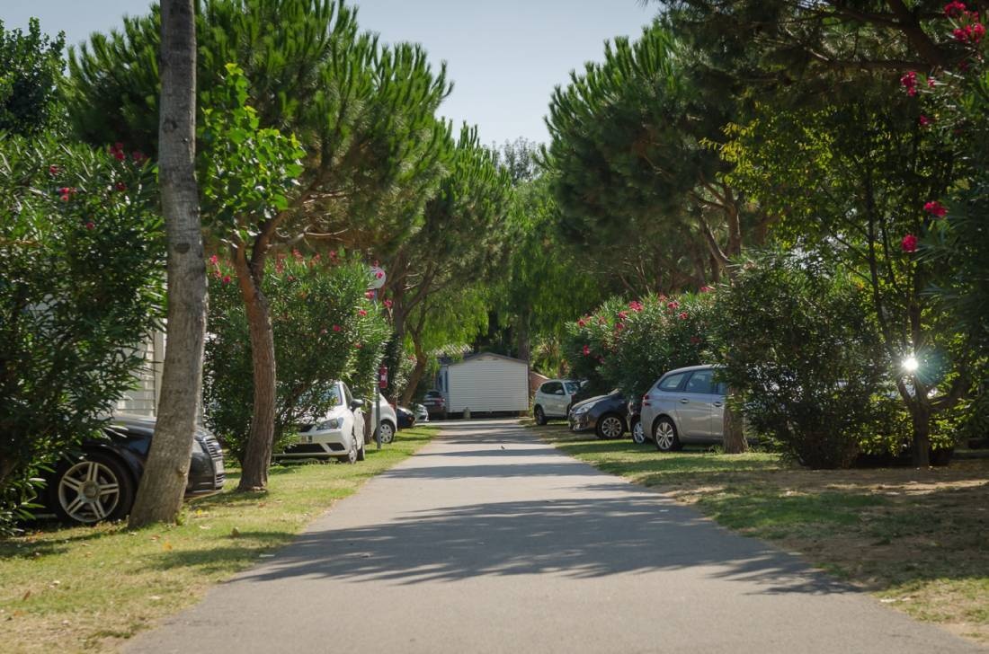 Camping La Plage Argelès — Camping in Argelès-sur-Mer / Occitanie