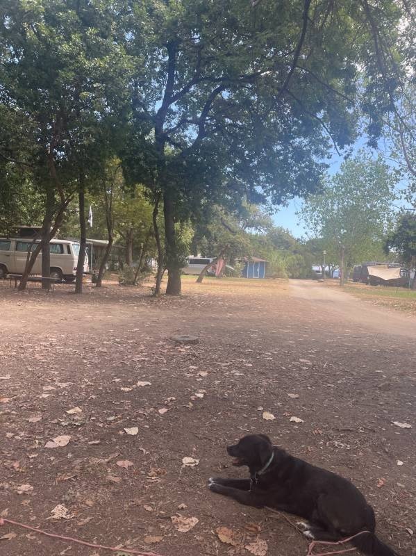 Camping U Punticchiu — Camping Site in Santa-Lucia-di-Moriani / Corse