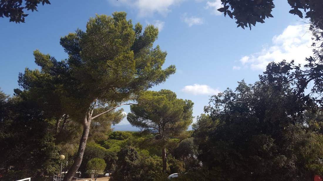 Group Campeurs Universitaires — Kamp yeri in Hyères