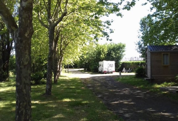 Camping Municipal le Pâtis * — Photo 2