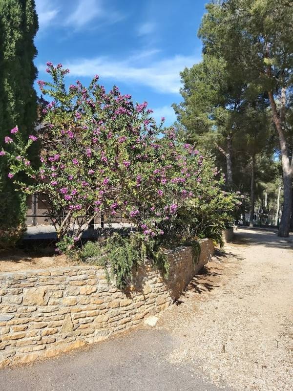 AEC Vacances — Cámping in Saint-Cyr-sur-Mer