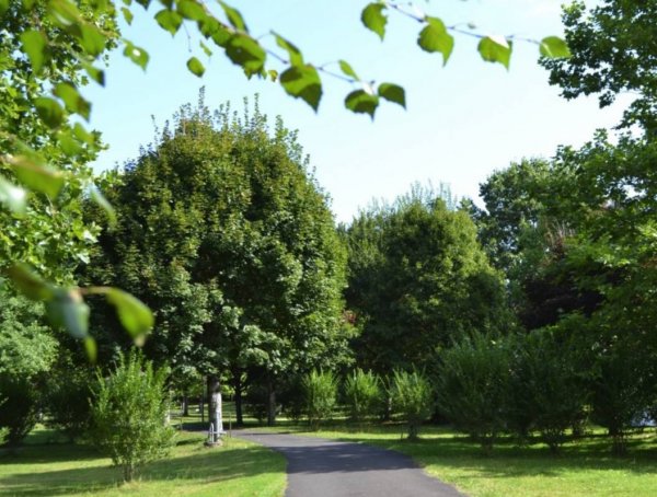 Camping Municipal de Vic-sur-Cère ** — Photo 2