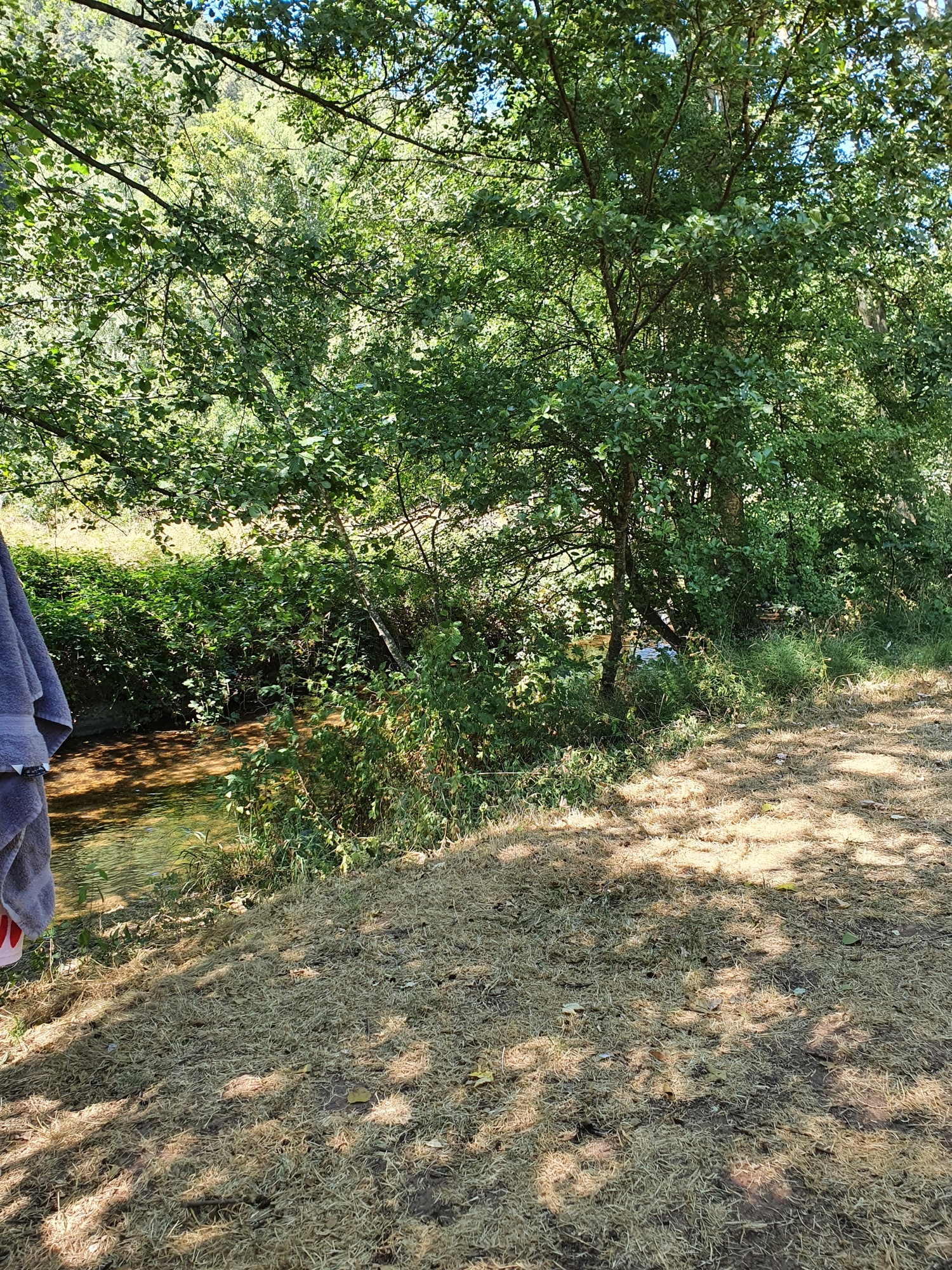 Camping des Lacs *** — Camping in Celles-sur-Plaine / Grand Est