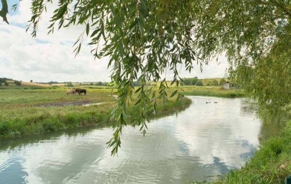 Camping Clos du Moulin ** — Photo 5