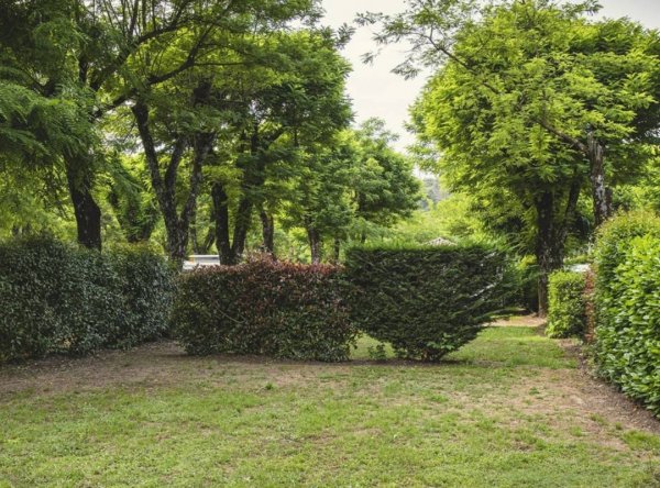 Camping Beau Rivage **** — Photo 2