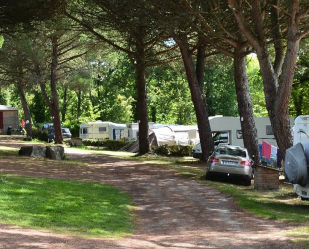 Camping Le Bosquet *** — Campingplads in La Fouillade
