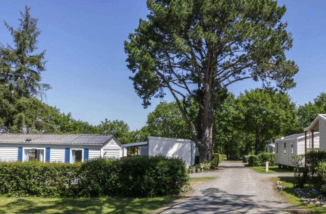 Camping Paradis d’Arvor  *** — Sítio de acampamento in Ambon