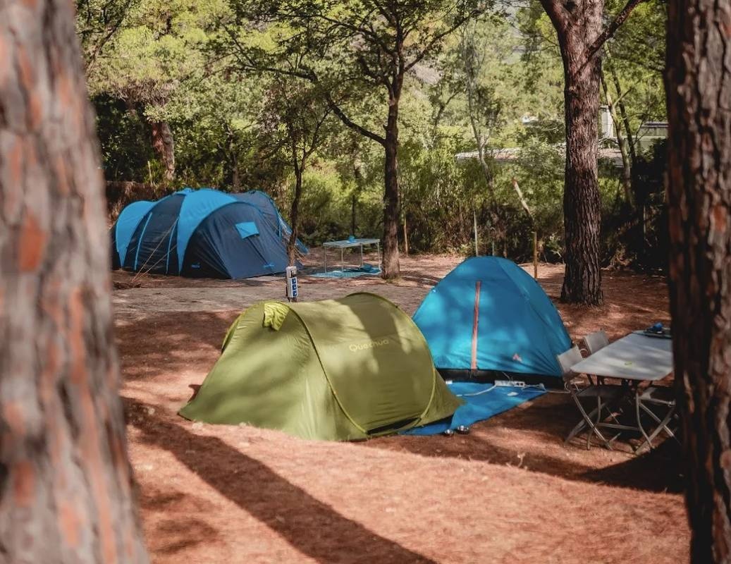 Comité Inter Entreprise des Usines Delle — Camping Site in Ramatuelle