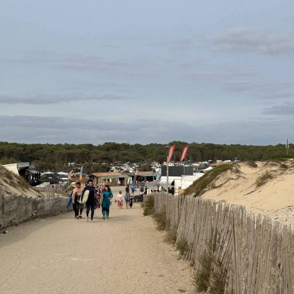 Le Pin Sec — Photo 5