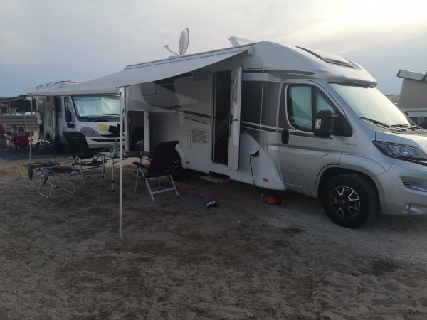 Le Pin Sec — Photo 4