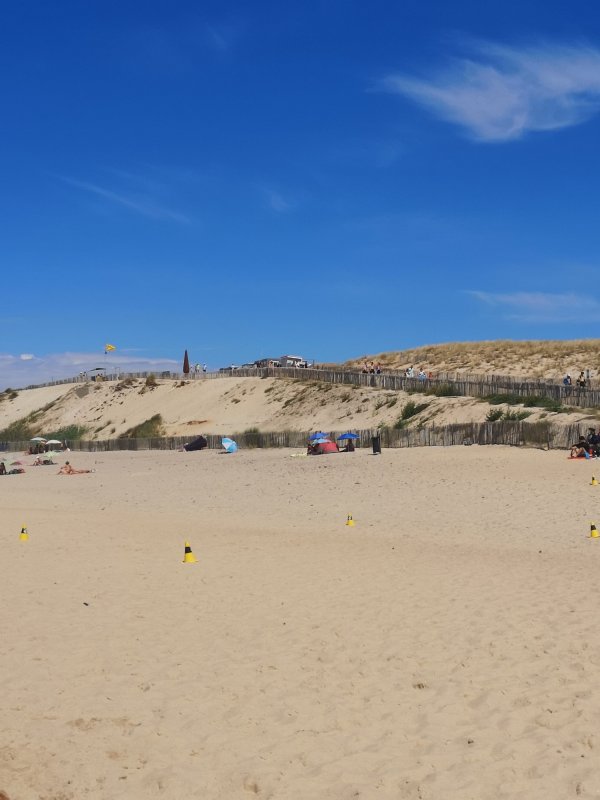 Le Pin Sec — Photo 3