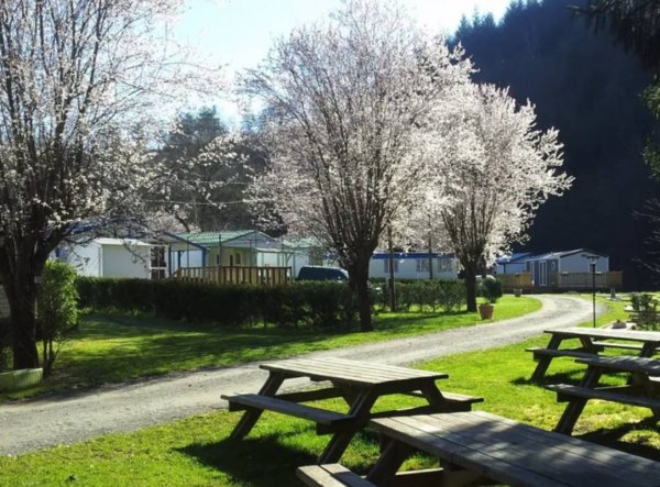 Camping du Moulin Brûlé — Photo 4