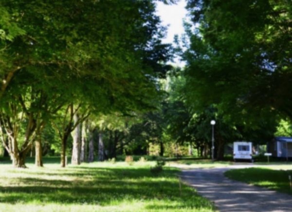 Camping Île du Pont *** — Photo 2