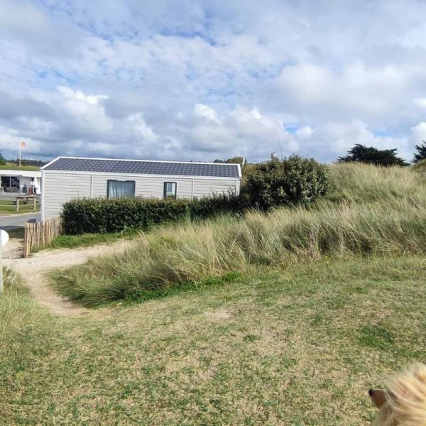 L'Oasis de la Plage — Photo 2