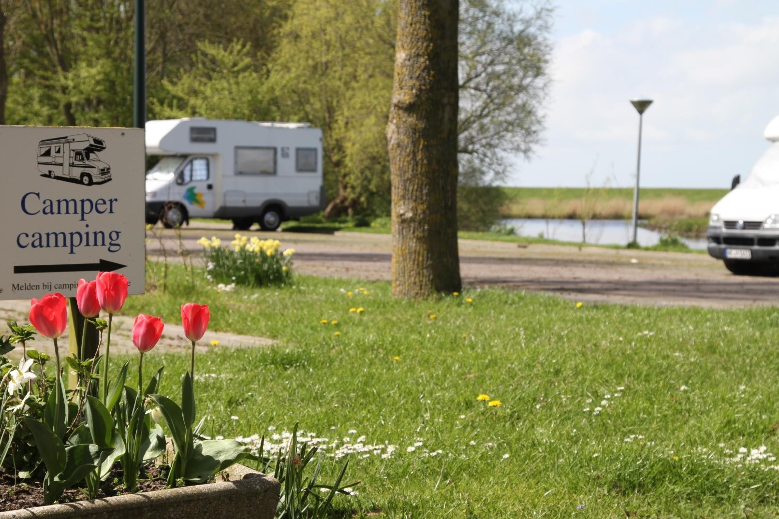 Camping ’t Séleantsje — Camping in  Molkwerum