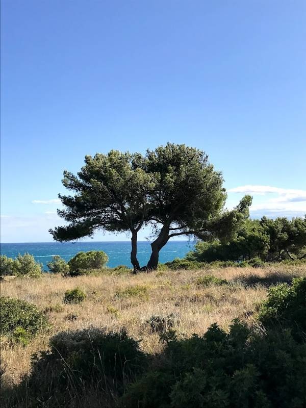 Camping Le Cap Blanc *** — Kemping in Leucate