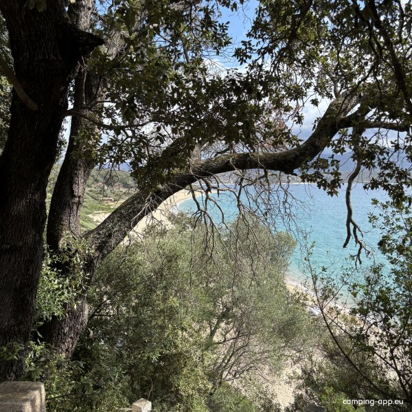 Camping chez Antoine — Foto 2