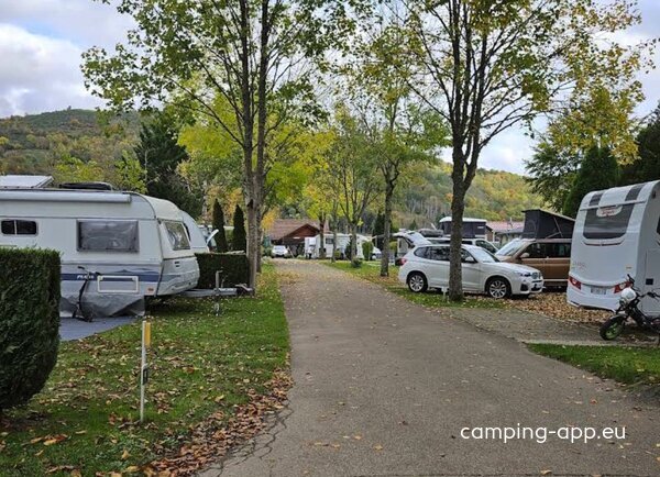 Camping Les Bouleaux — Photo 4