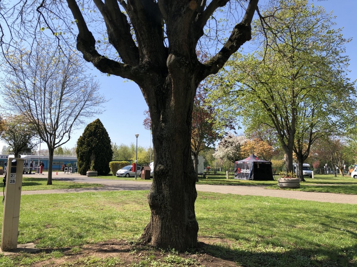 Camping Molsheim — Area da campeggio in Molsheim / Grand Est