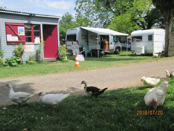 Camping Le Plan D'eau — Fotografie 3
