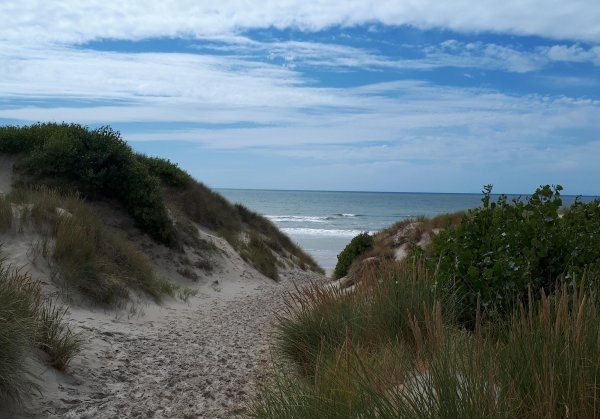 Camping de la mer ** — Campingplass in Stella-plage / Grand Est