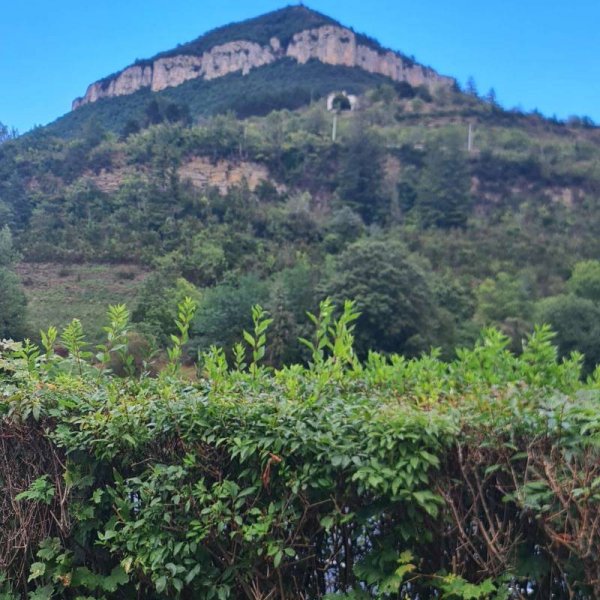 Camping Huttopia Millau