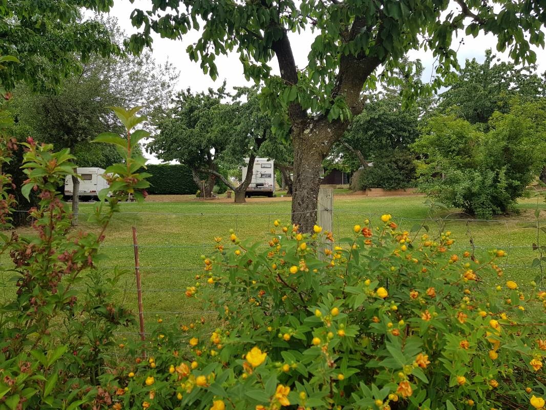 Camping du Sonnay * — 露营地 in Sourcieux-les-Mines / Auvergne-Rhône-Alpes