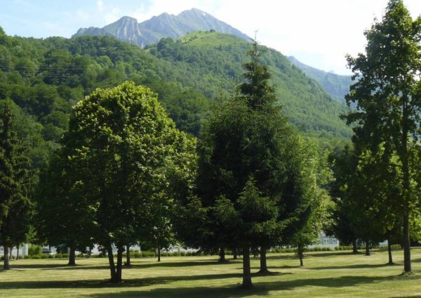 Camping La Heche ** — Photo 2