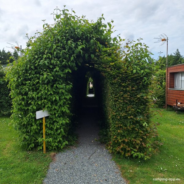 Hivernage La Hêtraie *** — Photo 3