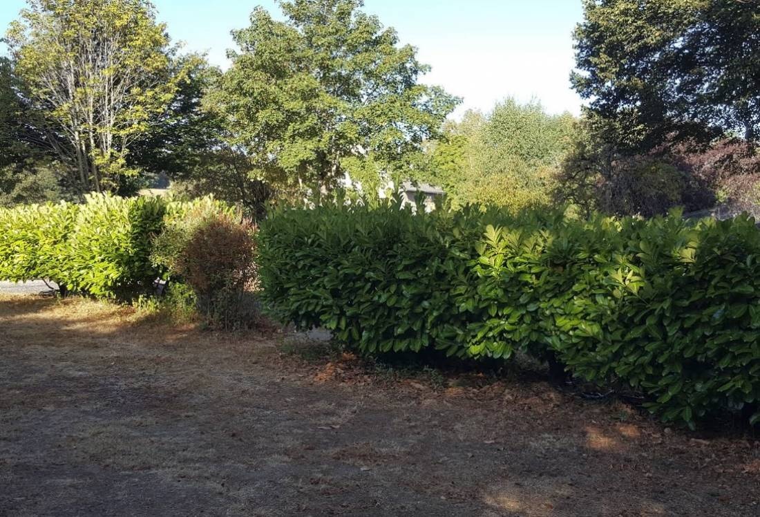 Camping Sainte Geneviève sur Argence — Sítio de acampamento in Argences en Aubrac