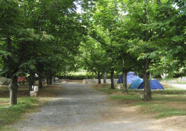 Camping Le Vieux Moulin ** — Photo 2