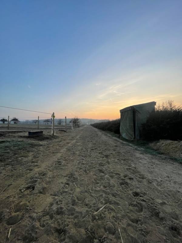 Ferme des Bruyères — Campingplads in Le Val-Saint-Germain