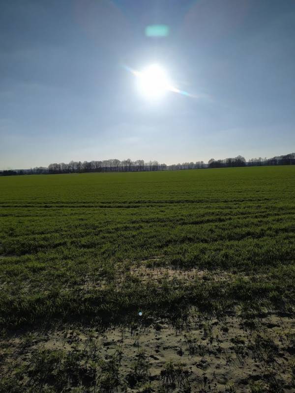 Ferme des Bruyères — Photo 2