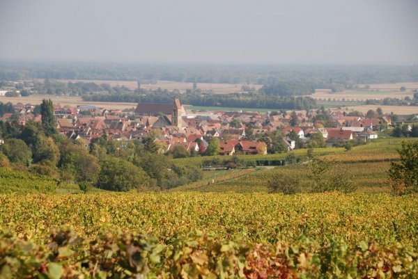 Camping Les Trois Châteaux *** — Camping in Eguisheim / Grand Est