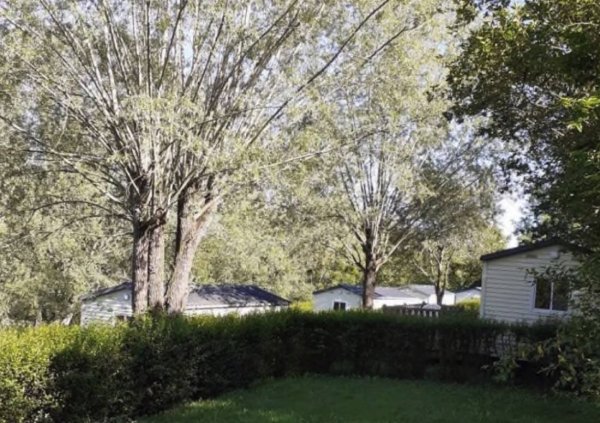 Camping de Saint-Gal — Foto 3