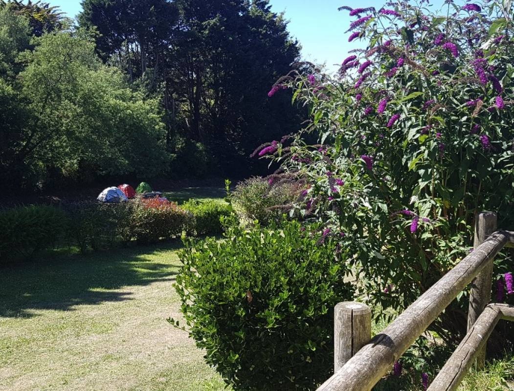 Camping Municipal de Groix (nur Zelt, Vans + Pkw) — Campingplass in Groix 